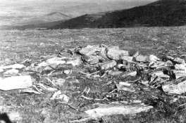 Cámara funeraria megalítica 2. Los Lagos