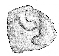 Santa Olalla (Valdeolea)