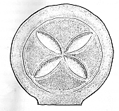 Proa&ntilde;o (Campoo de Suso)