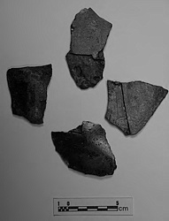 Fig. 4. Fragmentos estatua, algunos de ellos con rebaje