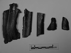 Fig. 3. Fragmentos principales de la toga de la escultura