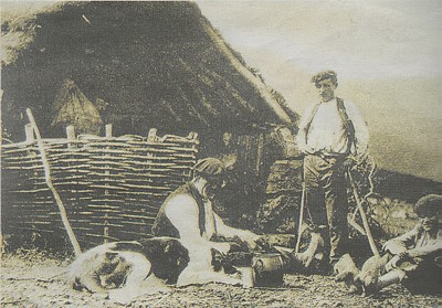 Recolectores de genciana en Campoo, en 1900. / MUSEO EL PAJAR