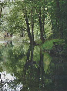Fontibre