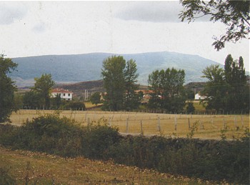 La Mi&ntilde;a