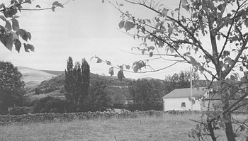 La Mi&ntilde;a
