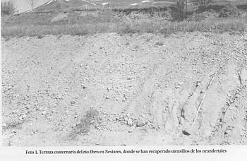 Foto 1. Terraza cuaternaria del río Ebro en Nestares