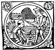Recogida de trigo. Calendario s. XIV