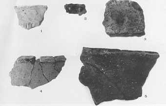 Figura 5. Restos de cerámica (nº 1, 3-5) y bronce (nº 2). Castro de Argüeso-Fontibre